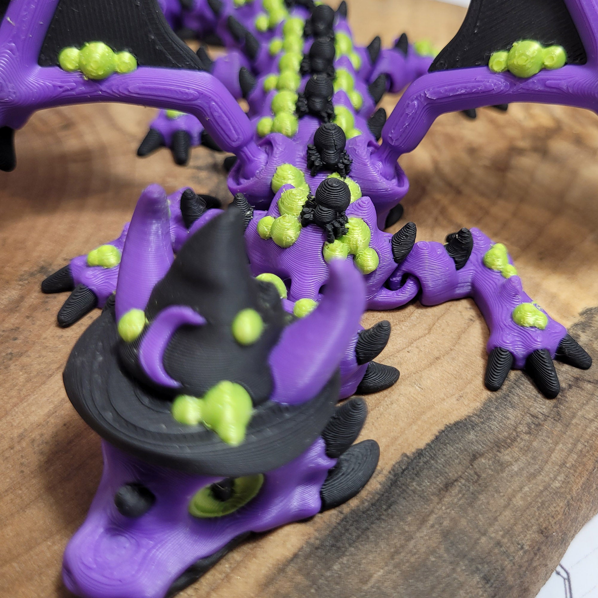 Drachenvertrauter XL: Witchy